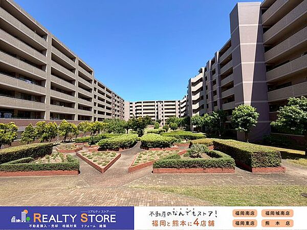 ☆現地【2026年7月】撮影☆