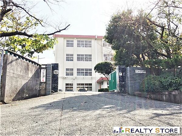 福岡市立平尾中学校 徒歩12分。 910m