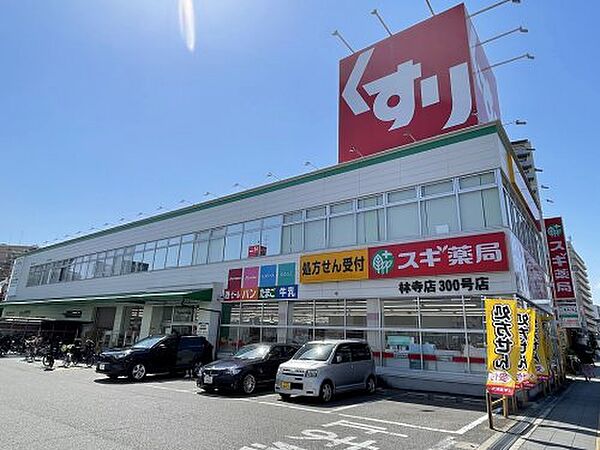 画像29:【ドラッグストア】スギ薬局　林寺店まで843ｍ