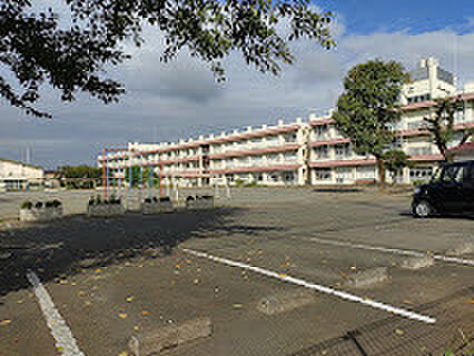 ふじみ野市大井小学校（230m）