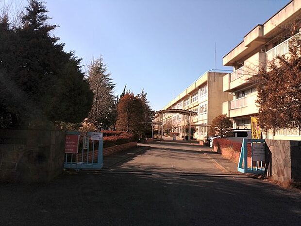 柏市立土南部小学校（600m）