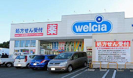 ウェルシア柏酒井根店（1130m）