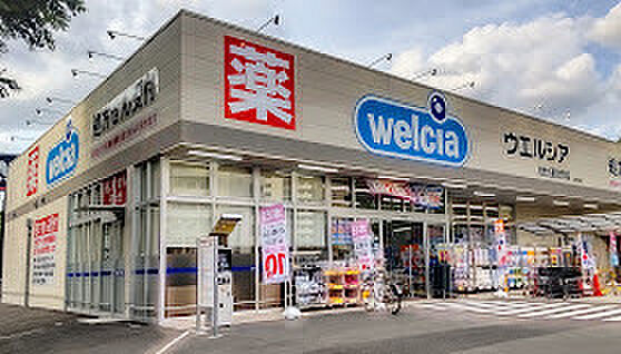 ウエルシア柏光ヶ丘麗澤大学前店(520m)