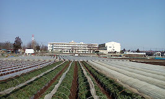 川越市立高階西小学校(100m)