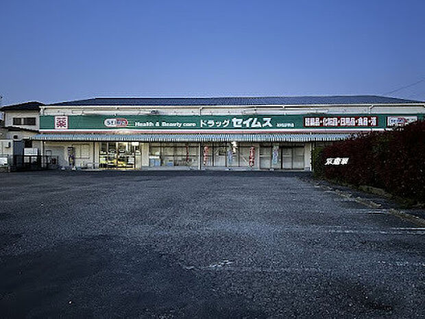 ドラッグセイムス柏花野井店(630m)