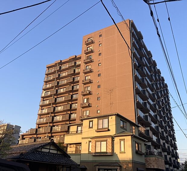 サニークレスト武蔵浦和(3LDK) 10階/1010の外観