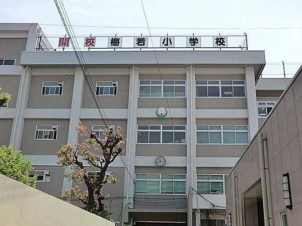 墨田区立梅若小学校 徒歩12分。 930m