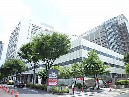 東京都立墨東病院 徒歩13分。 1010m