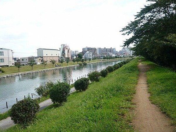 亀戸緑道公園 徒歩5分。 390m