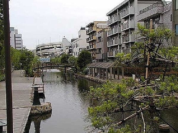 木場親水公園 徒歩13分。 1000m