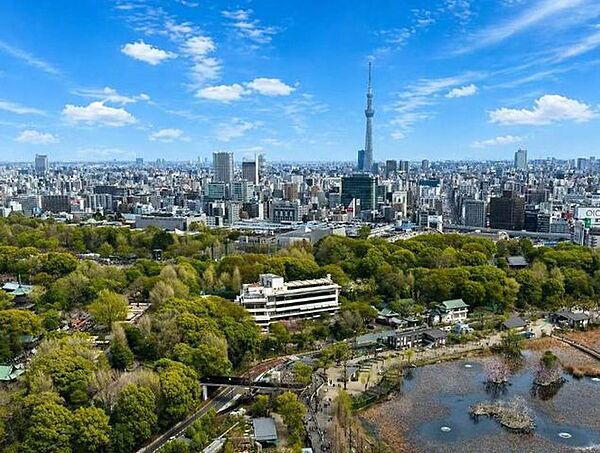窓の外に緑が広がり、季節の移ろいを身近に感じられる心安らぐ眺望です。