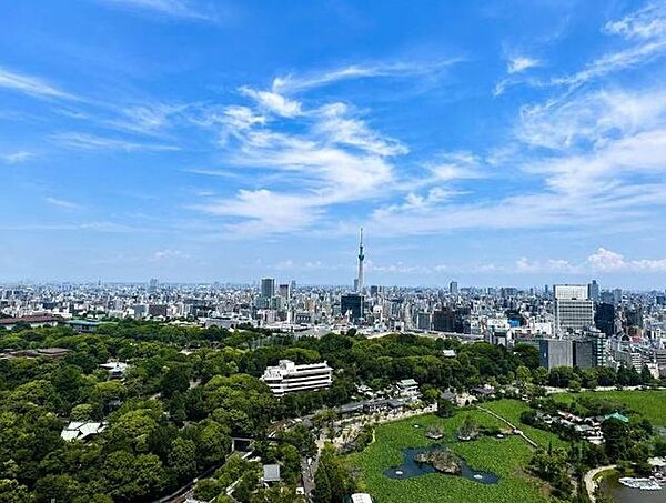 高層階ならではの伸びやかな景色が広がり、日常の中で開放感を味わえます。