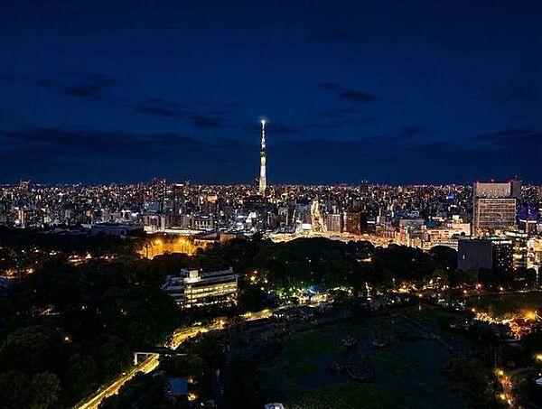高層階ならではの伸びやかな景色が広がり、日常の中で開放感を味わえます。