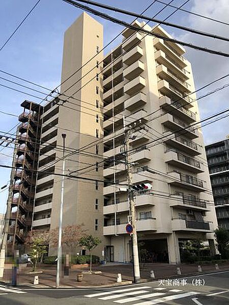 外観：334000267446