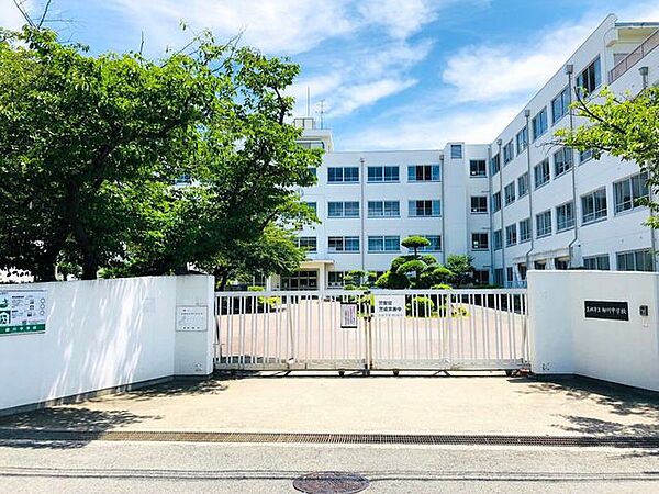 高槻市立柳川中学校生徒数323名 550m