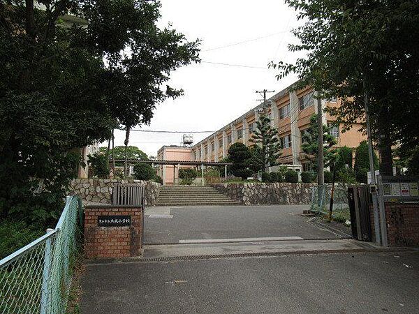 大成小学校　最寄り駅の播磨駅からはおよそ700ｍ、徒歩11分ほどです。隣に成徳南幼稚園があります。 790m