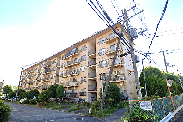 外観：327002245395