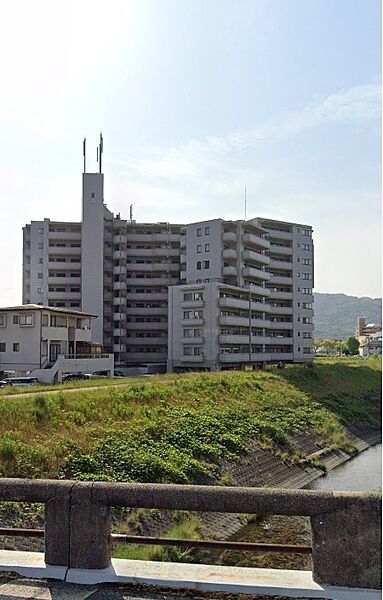 外観：334000253076