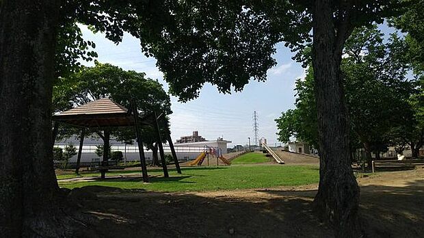 自由ヶ丘公園東城南小学校側の広い公園です緑が多く、のんびり過ごすことができます 790m