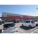 スーパー「オギノ岡谷店まで1175ｍ」