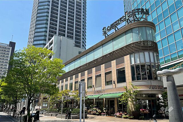 周辺 白金タワー 38階/-