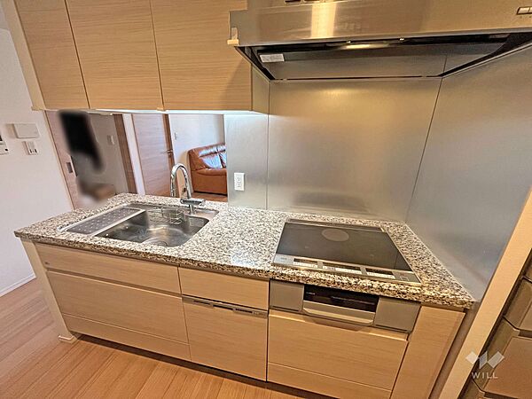 キッチン。ディスポーザーやビルトイン食洗機、浄水器を標準装備し、毎日の家事を効率化。