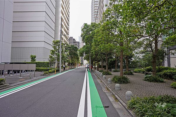 敷地東側の前面道路（北側から）