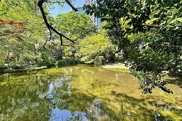 清水谷公園の外観