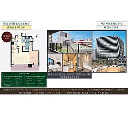 ザコート神宮外苑 1LDKの間取図画像
