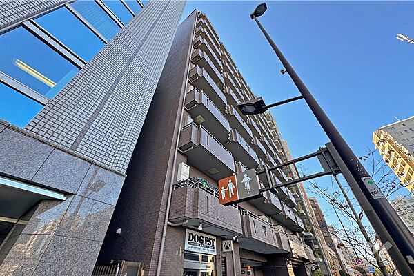 朝日白金台マンションの外観（北東側から）
