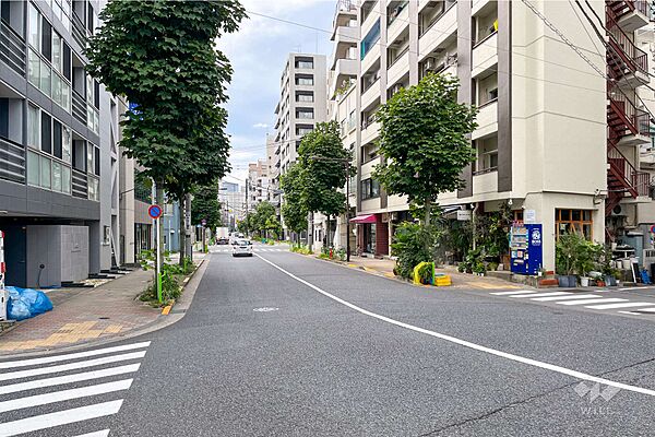 敷地南側の前面道路（東側から）