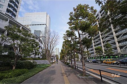 敷地南側の前面道路