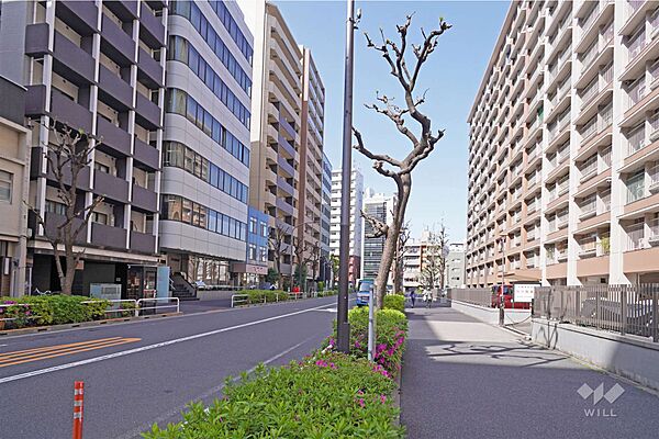 敷地西側の前面道路