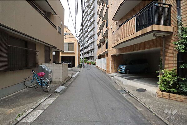 敷地西側の前面道路(南側から)