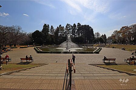 世田谷公園の外観