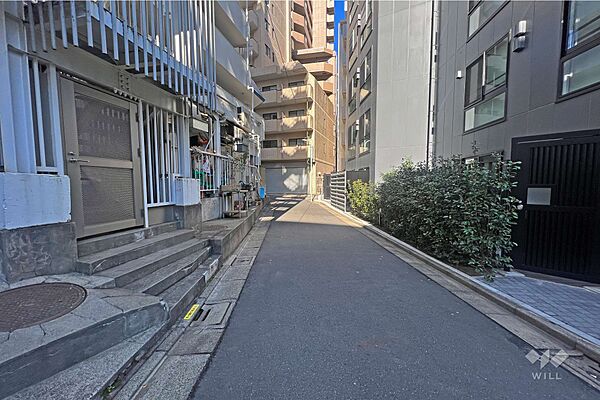 敷地の東側前面道路(南東側から)