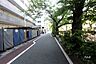 その他：敷地北東側の前面道路(南東側から)