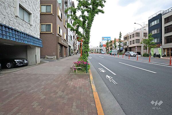 敷地北側の前面道路(東側から)
