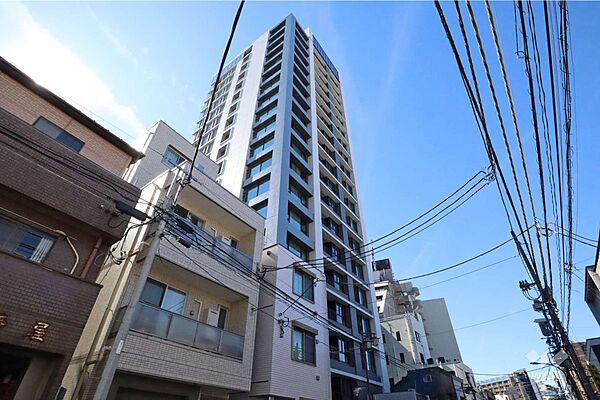 シティタワー白金の外観(北東側から)