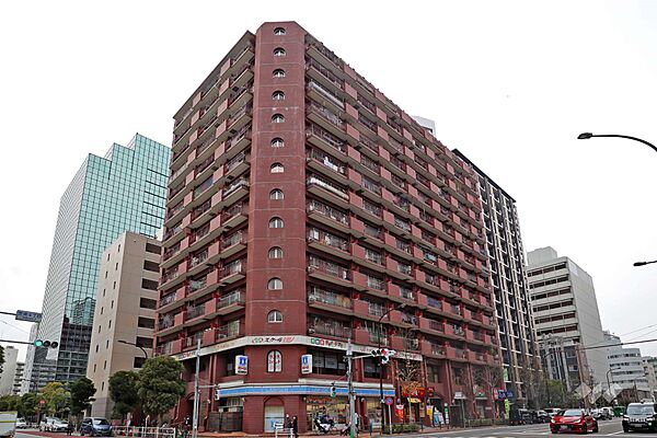 外観：313004888976