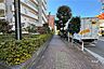 その他：敷地北側の前面道路