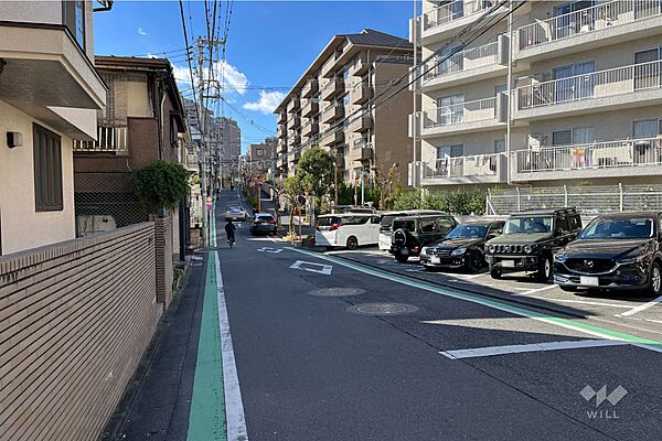 敷地の南東側前面道路（北東側から）