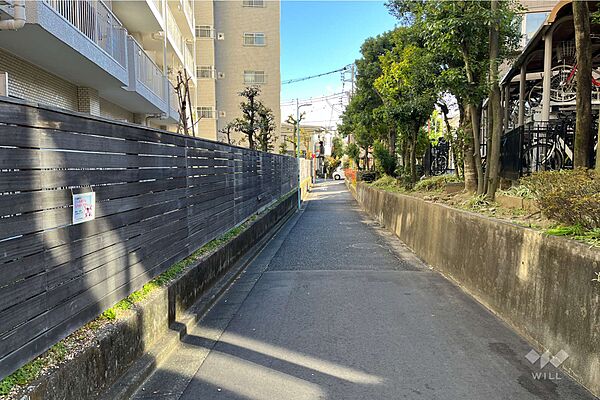 敷地の南西側前面道路（北西側から）