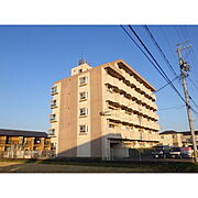 サンテラス88 1階 築37年6ヶ月の賃貸物件