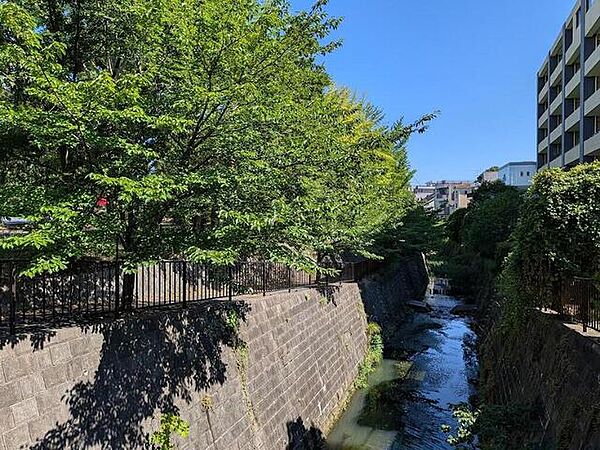 黒須田川のほとりは桜並木になっていて、春も秋も楽しめます。