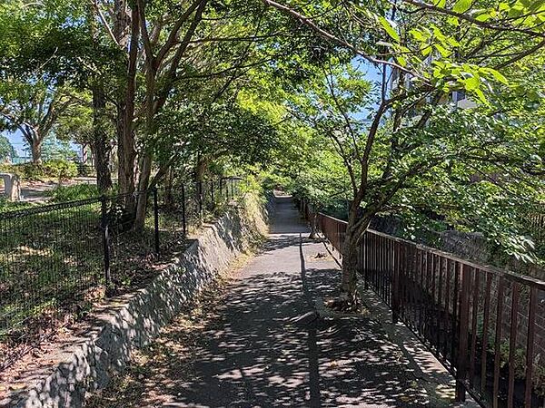 黒須田川のほとりは桜並木になっていて、春も秋も楽しめます。嶮山公園を含めてウォーキングロードです。