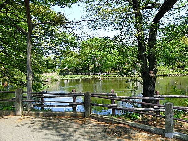 四季折々の自然が楽しめる、地域の憩いの公園。池の周りの散策や遊具広場、夏季限定の屋外プールもあり、家族で気軽に楽しめます。徒歩圏にある嬉しいスポットです。