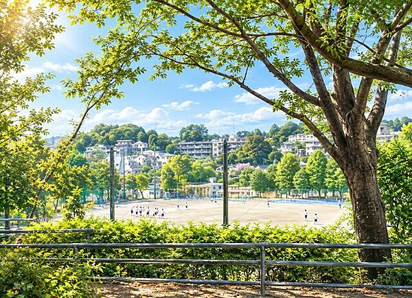 緑に囲まれた、ゆったりとした広さの榎が丘公園。高台から榎が丘小学校を見下ろす景色も楽しめる、身近な憩いの場所です。