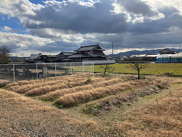その他画像