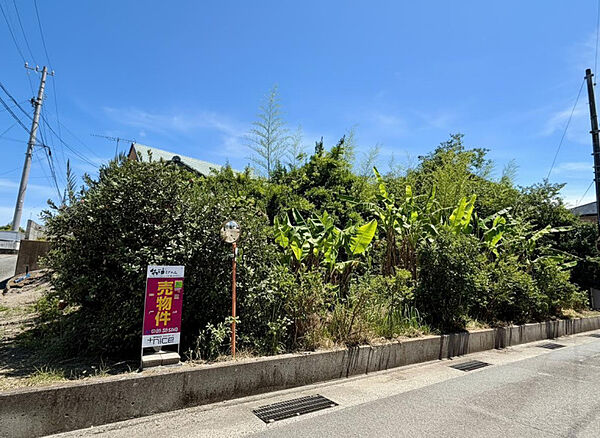 現地に販売看板ありで初めての方も安心見学。南側に広がる空が気持ちよく、日中は明るさをたっぷり享受。住まいの計画が膨らむポテンシャルを感じます。